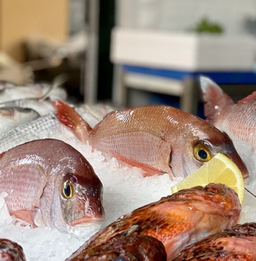 Corfu Fish Market