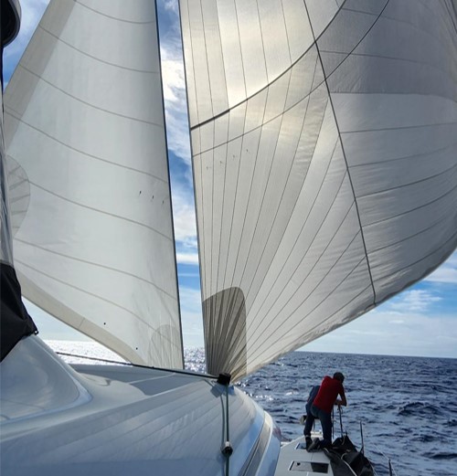 Sailing Butterfly
